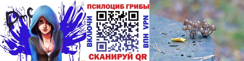 где можно купить наркотик  Макушино  мега вход  Псилоцибиновые грибы GOLDEN TEACHER 